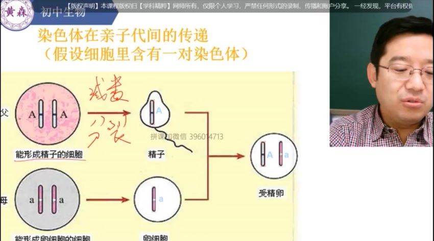 黄森初中生物同步课程(八年级下册)学科精粹 (3.68G)