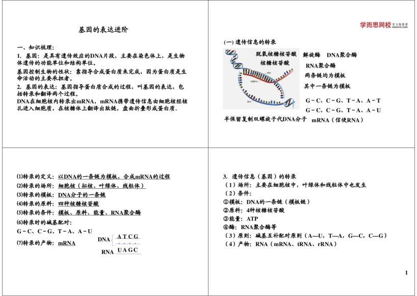 高一生物必修2目标满分班（人教版）王昕蕾19讲 (3.83G)