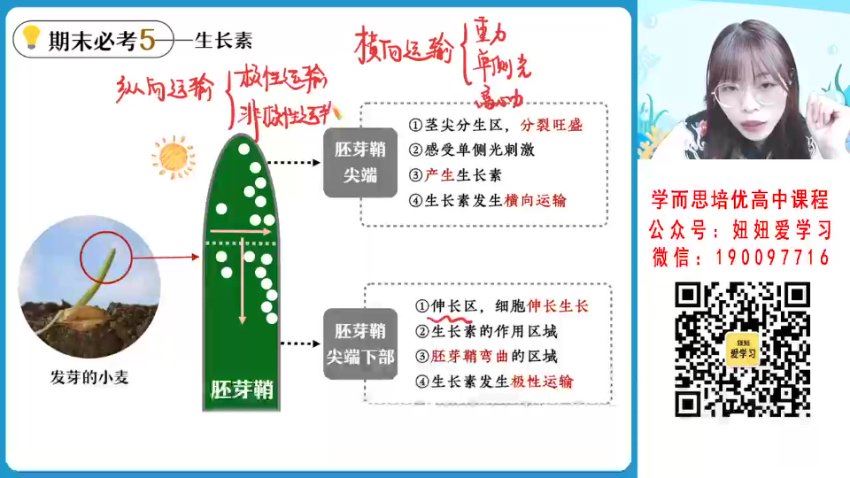 作业帮：【2023寒】高二生物谢一凡A+ 19，百度网盘(4.97G)