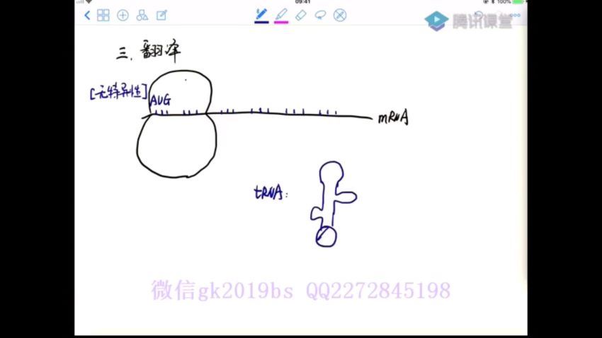 2019年高考生物一轮必修二全套复习班(腾讯课堂万猛)，百度网盘(3.67G)