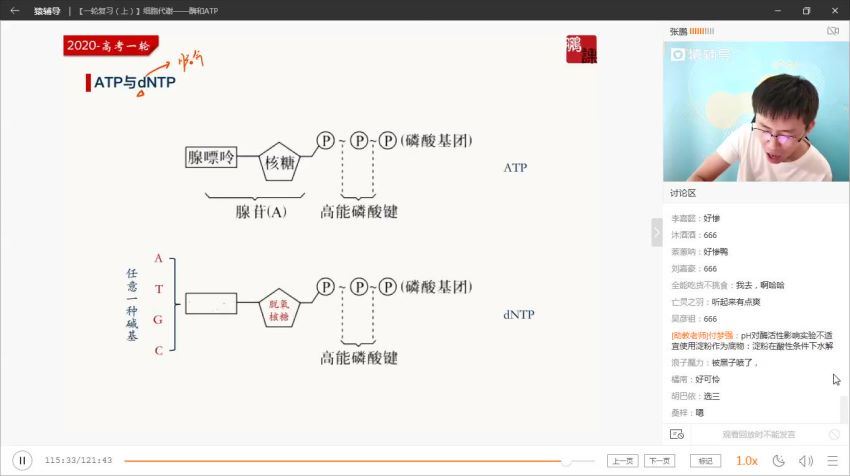2020猿辅导张鹏生物暑假班（高清视频），百度网盘(2.50G)