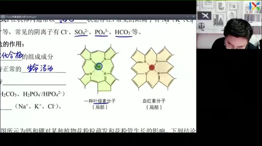 2023高一乐学生物任春磊秋季班，百度网盘(12.37G)