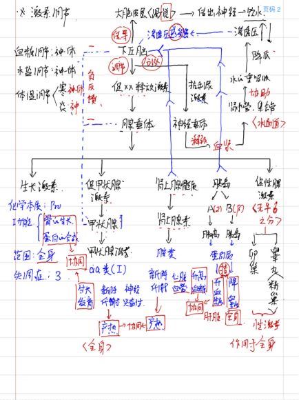 徐京2019高二生物暑假班，网盘下载(1.93G)