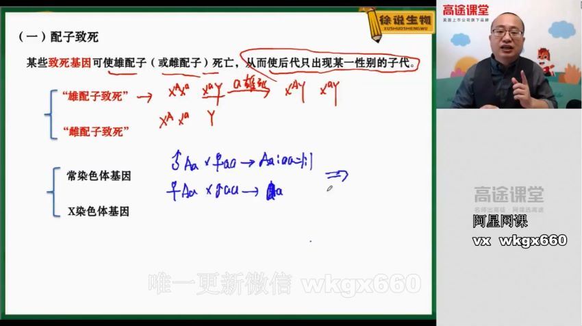 徐京2021生物一轮复习联报班，百度网盘(9.63G)