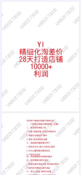 Yl精细化淘差价28天打造10000+利润店铺，精细化选品项目（附软件）