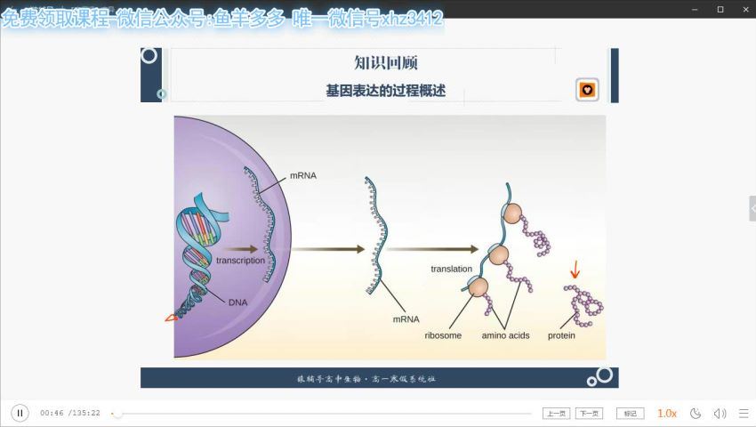 高一生物寒假系统班(猿辅导李安德），百度网盘(3.91G)