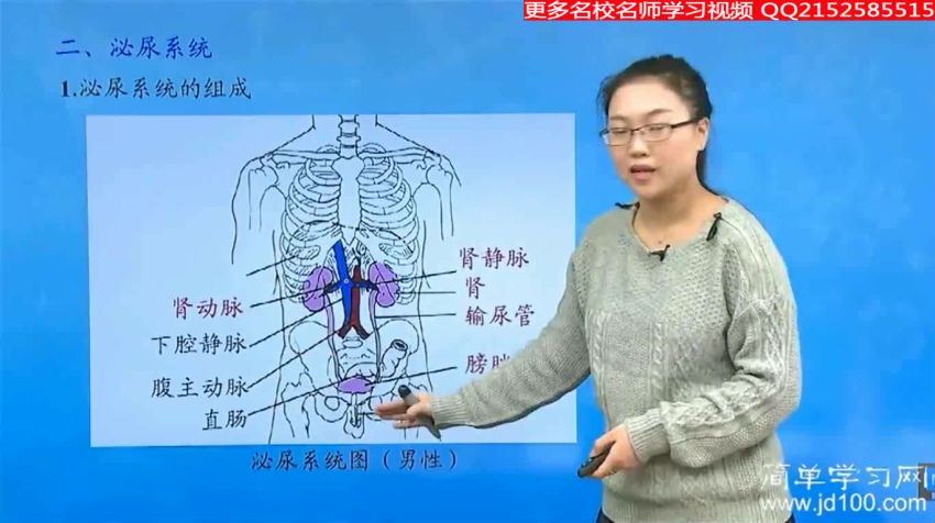 丁蕊简单学习网初一生物同步提高下学期课程22讲 (9.50G)