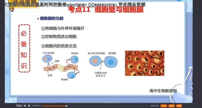 2021生物徐京-扎实基础系列课-必修一（完结），网盘下载(232.43M)