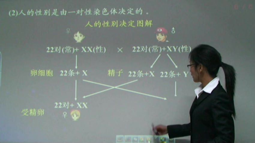 同步课程：高一生物中图版（必修2），百度网盘(1.45G)