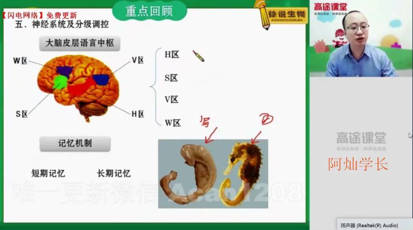 【秋季班】高二生物 徐京，网盘下载(6.09G)