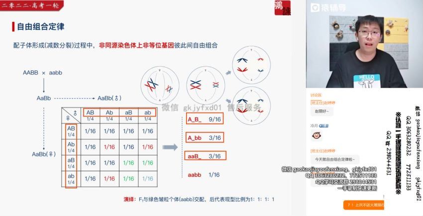 22届-高三生物【张鹏】秋季班S，百度网盘(13.87G)