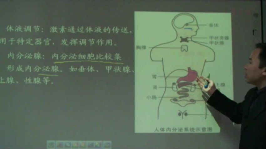 同步课程：高二生物浙科版（必修3），百度网盘(2.91G)