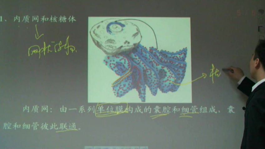 同步课程：高二生物浙科版（必修1），百度网盘(3.59G)