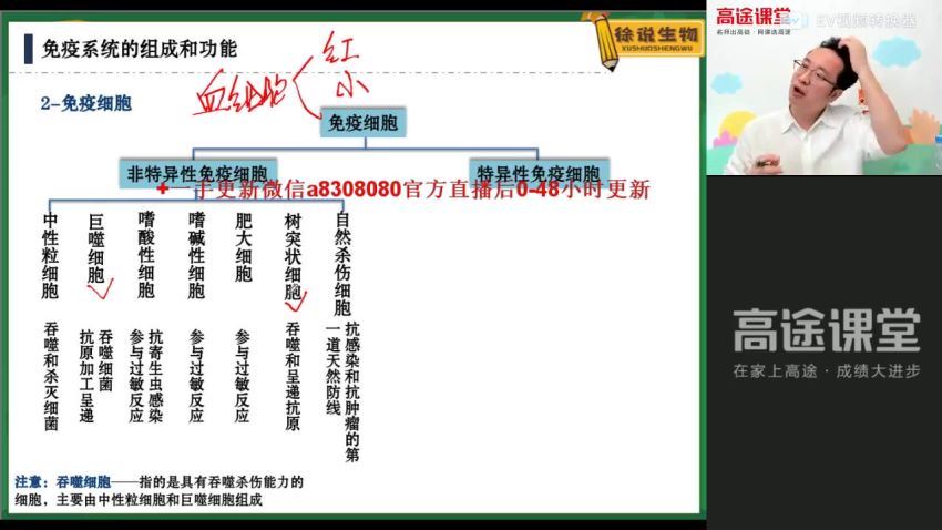 2022高三高途生物徐京秋季班，百度网盘(4.33G)