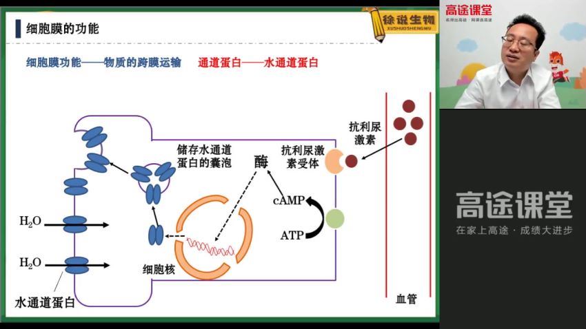 徐京2022高考生物一轮，网盘下载(1.51G)