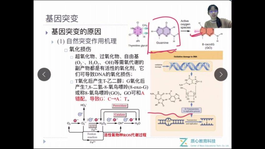 （质心高中生物竞赛）2018秋第一轮现代遗传学基因4讲汪小琪 (5.39G)，网盘下载(5.39G)