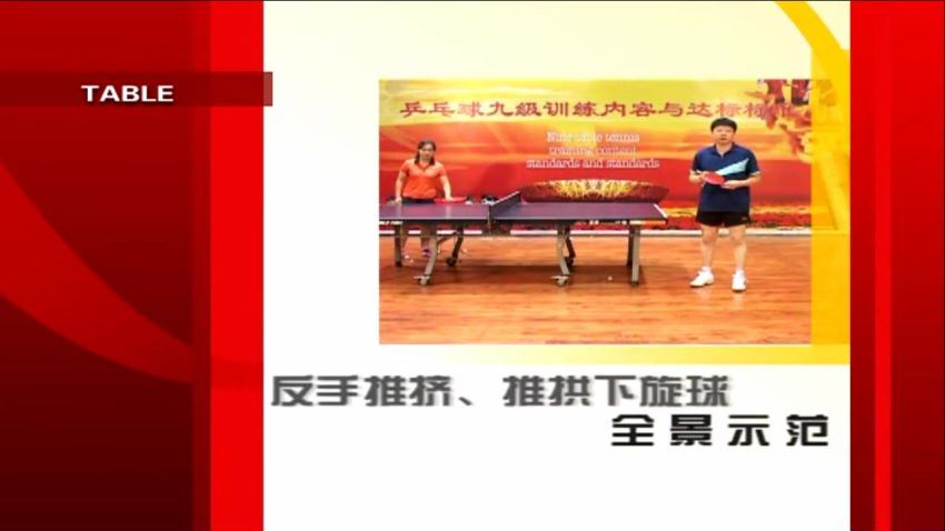 乒乓球业余一级到专业九级训练教学与达标标准（720P超清） (15.65G)