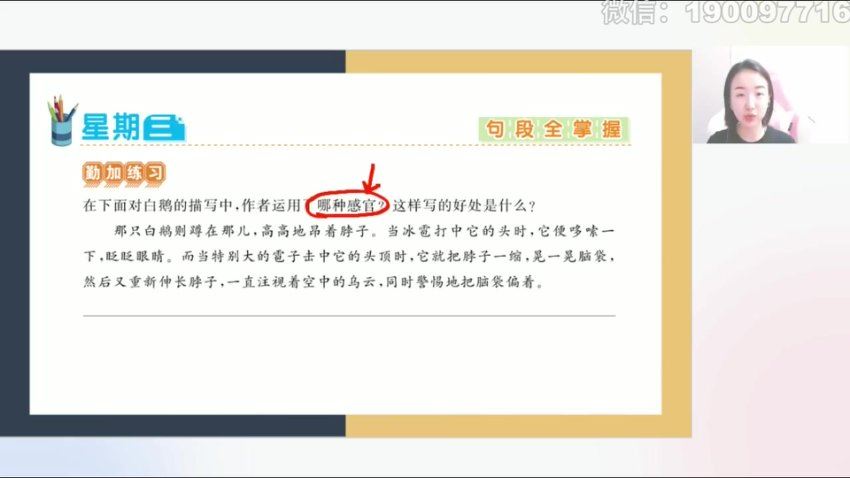 学而思：【完结】【2023秋】四年级语文校内VIP学习卡，百度网盘(3.17G)