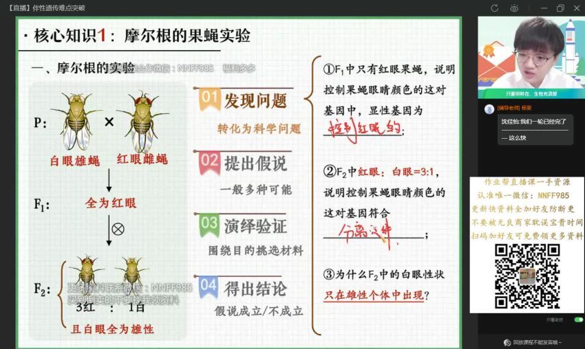 2023高三作业帮生物邓康尧一轮秋季班（a+)，百度网盘(9.39G)