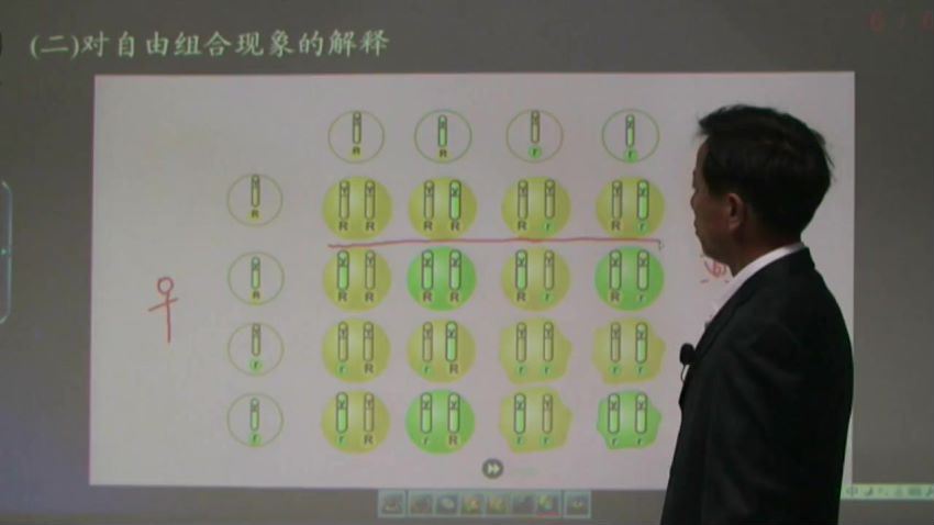 同步课程：高一生物苏教版（必修2），百度网盘(2.71G)