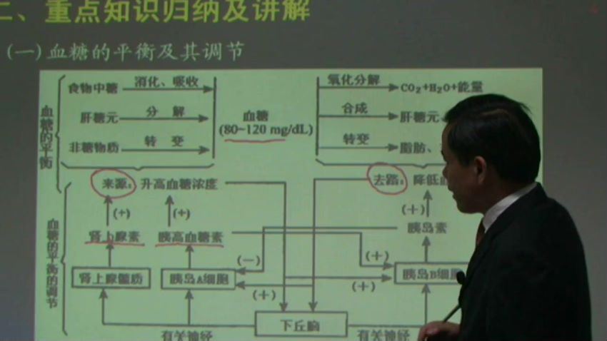 同步课程：高二生物苏教版（必修3），百度网盘(2.91G)