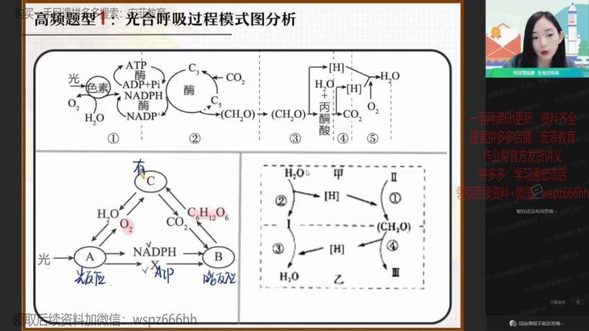 2022高二作业帮生物杨雪寒假班（尖端），百度网盘(5.71G)