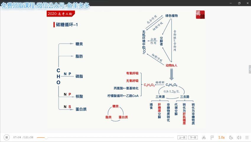 2020猿辅导张鹏生物寒假班（完结）（高清视频），百度网盘(4.62G)