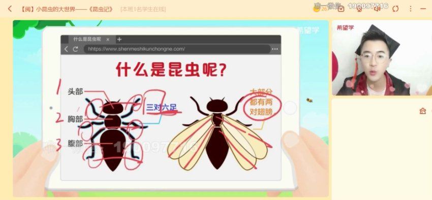 学而思：【2023秋上】四年级语文A+班 苏哲，百度网盘(5.39G)