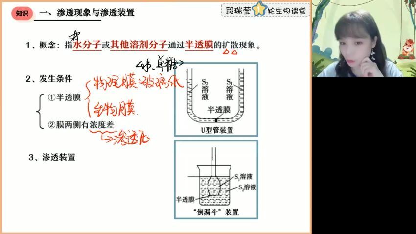 2023高三高途生物段瑞莹（箐英班）一轮暑假班，百度网盘(3.00G)