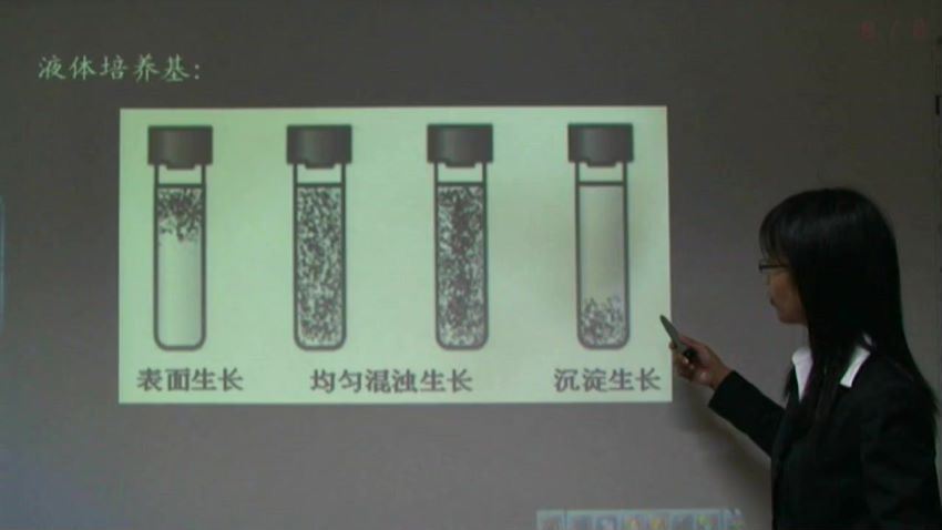 同步课程：高二生物人教实验版（选修1），百度网盘(6.47G)