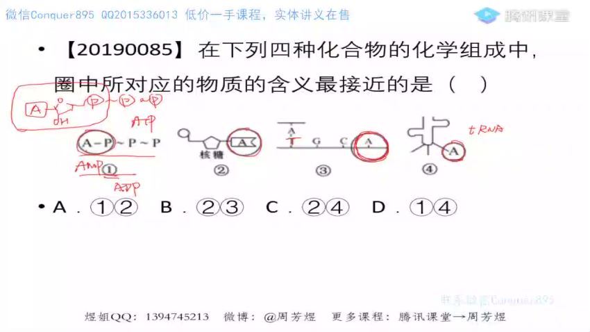 2022高三腾讯课堂生物周芳煜二轮，百度网盘(19.64G)