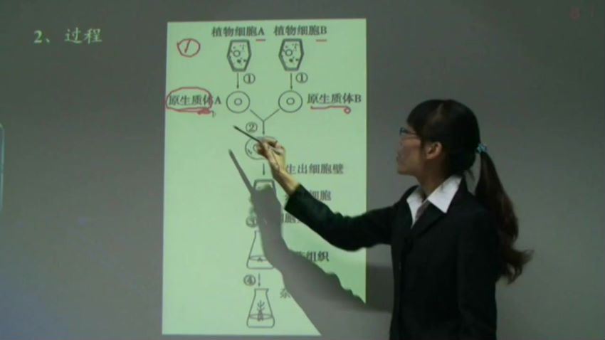 同步课程：高二生物人教实验版（选修3），百度网盘(2.29G)