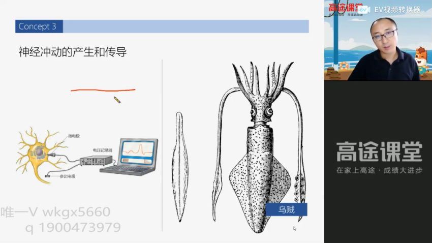 22届-高二生物【刘建业】暑假班，百度网盘(4.72G)