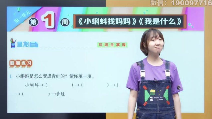 学而思：【完结】【2023秋】二年级语文校内VIP学习卡，百度网盘(6.65G)
