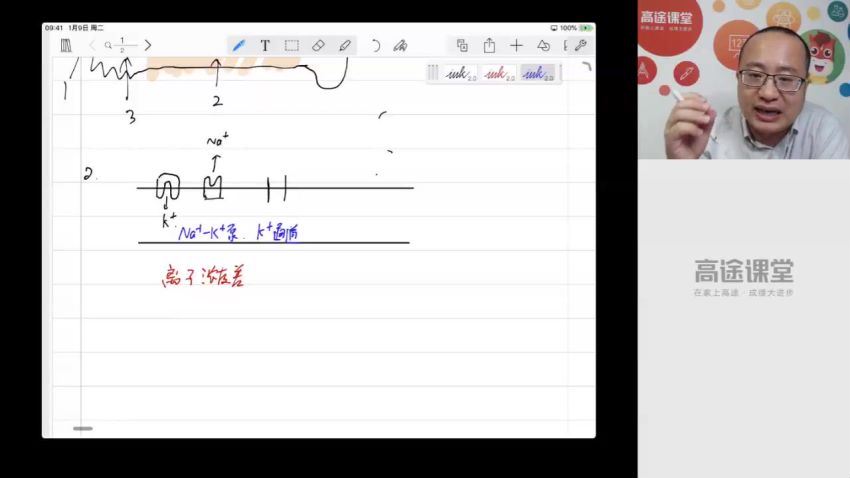 高途2020高二生物徐京暑假班（高清视频），百度网盘(1.92G)