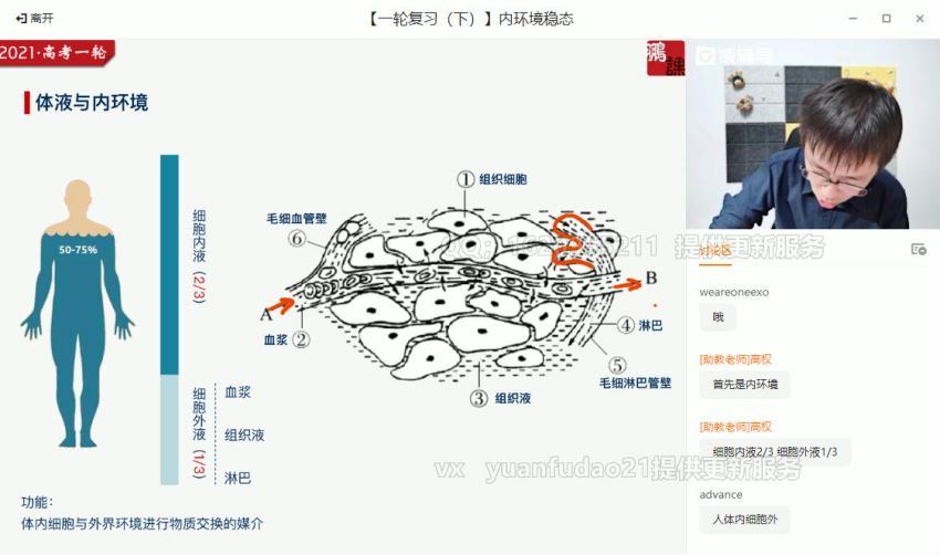 张鹏2021高三生物秋季班，百度网盘(48.16G)