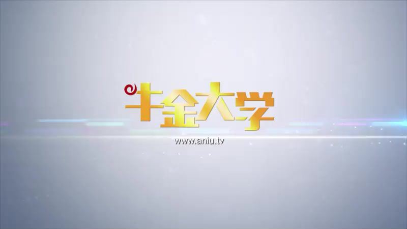 刘彬牛金大学-股市股票炒股视频(全36集) (16.75G)