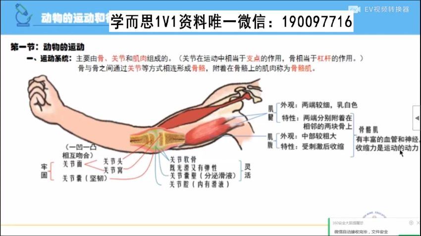 初二生物上学期同步课（人教版） (629.64M)