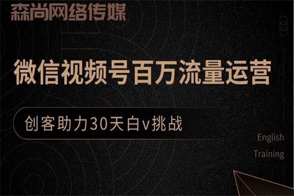 售价399元创客江湖录微信视频号百万流量运营，创客助力30天白V挑战